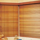 7timber-blind